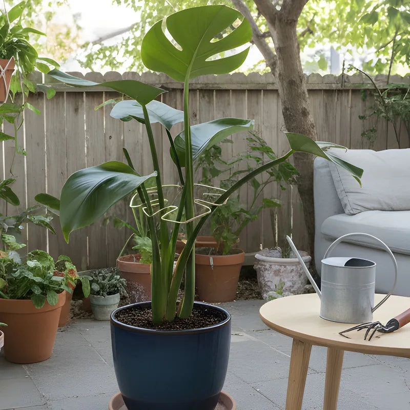 Soporte de Metal ajustable para plantas.