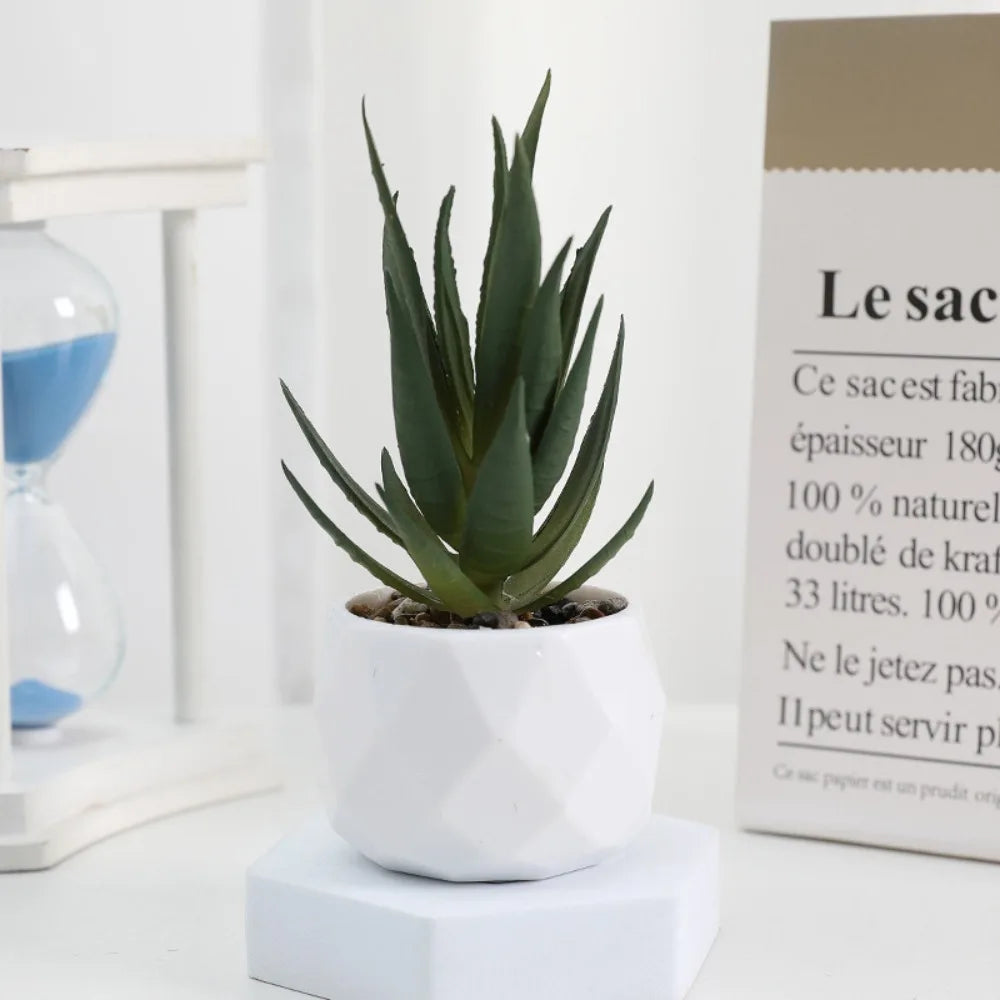 Plantas suculentas artificiales.